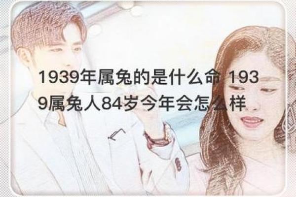 1987年兔年出生的人：命理解析与人生启示