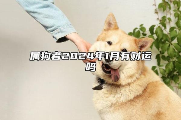 三四年属狗人的命运分析：解析个性与运势的秘密