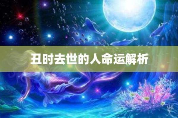 20011年每月的命运与运势解析，为你揭示未来的秘密！