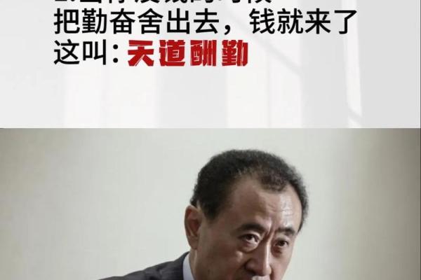 生肖与命运:揭开命理的神秘面纱,找寻人生的出路! 生肖与命运:揭开命理的神秘面纱,找寻人生的出路!