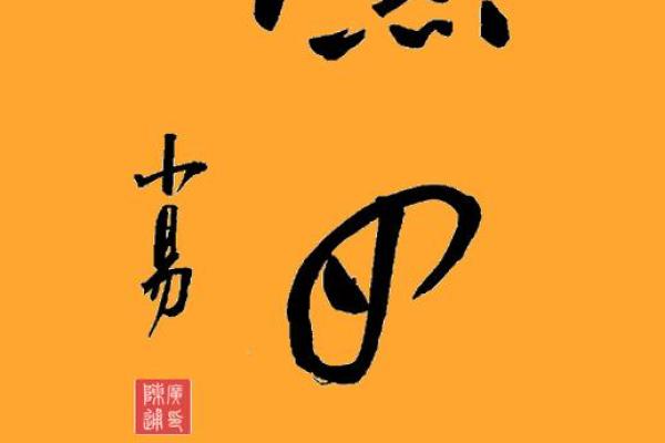 女命带动男命：黄道吉日中的深刻智慧