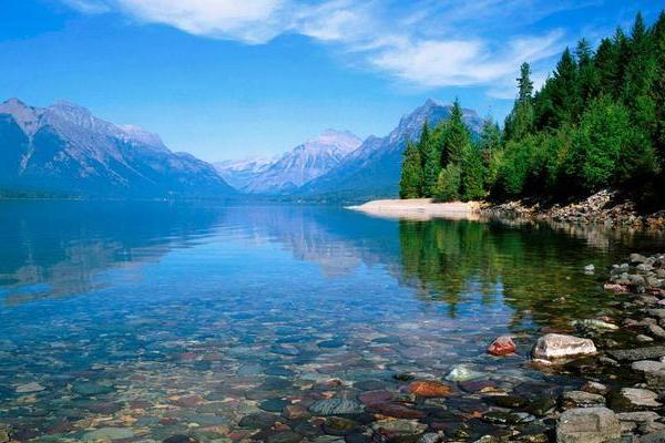 女杨柳木命与何命最匹配?解析和谐人生之道 女杨柳木命与何命最匹配?解析和谐人生之道