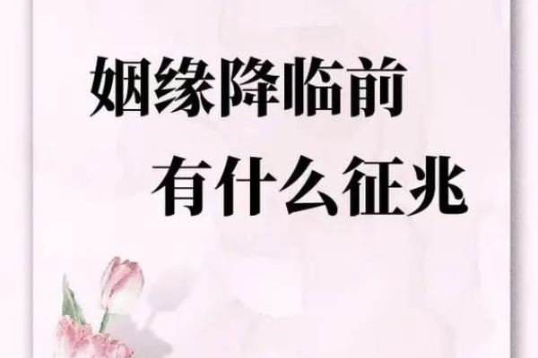 桃花命格解析：探秘命理中的爱情与缘分之道