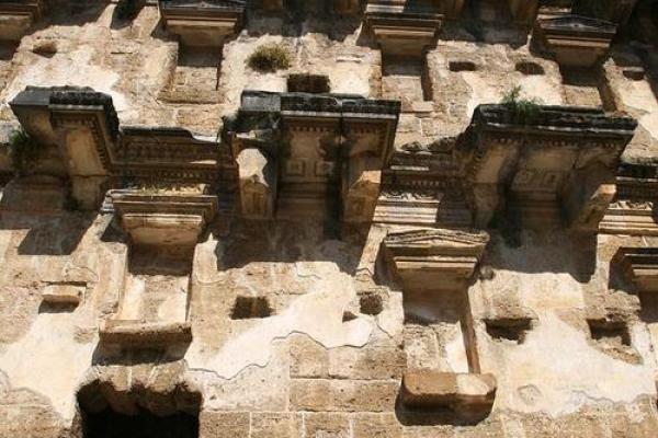 樟树命的特征与影响：揭开生命中的神秘面纱