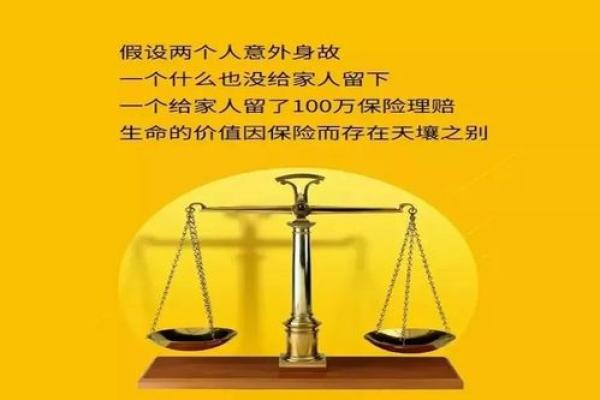 人强命不强命，强寿不长：探讨生命的真谛与价值