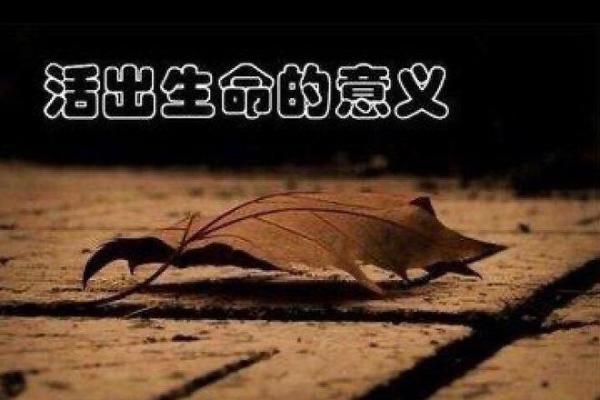 人强命不强命，强寿不长：探讨生命的真谛与价值