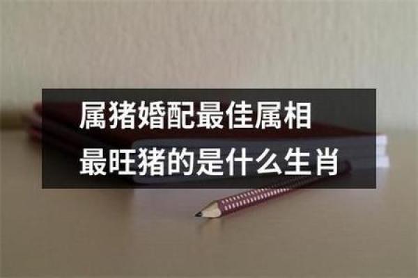 2019年属猪的生肖与命运解析：欢庆与挑战并存的一年