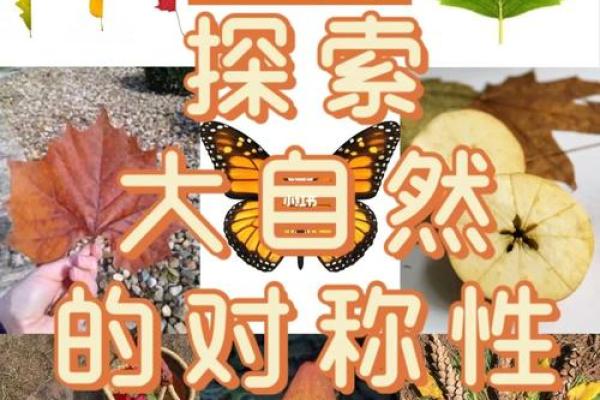 探索生命的意义：在自然中寻找灵魂的归宿