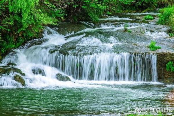 探索生命的意义：在自然中寻找灵魂的归宿