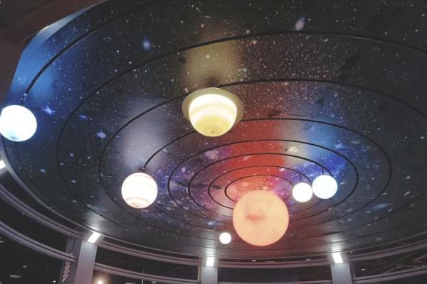 属鸡的69年：探秘命运与性格的奇妙之旅