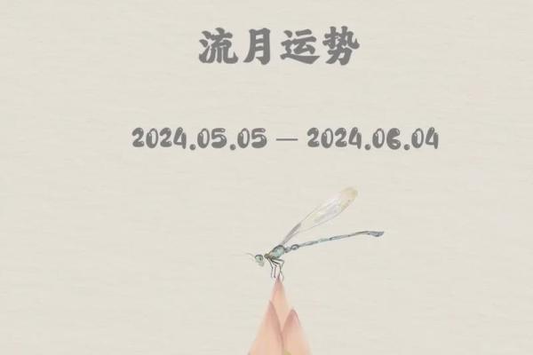 水龙命：探寻命理中的独特档次与运势之道