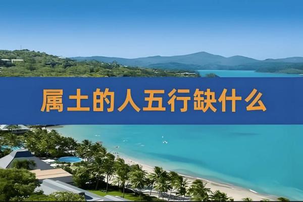 男土命与配对命理：最合适的组合揭秘