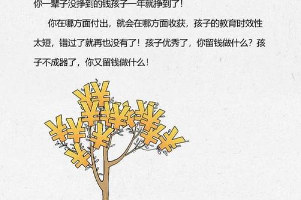 2003年出生的人：机遇与挑战并存的生活旅程