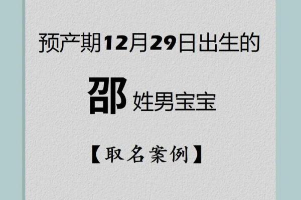 2023年出生宝宝的命运解析：如何为他们开启美好人生之旅