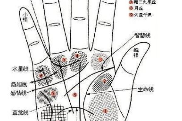 男人双手断掌，命运潜藏的秘密与解读