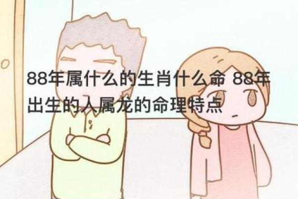 1988年男士命理解析：揭秘属龙人的性格与命运