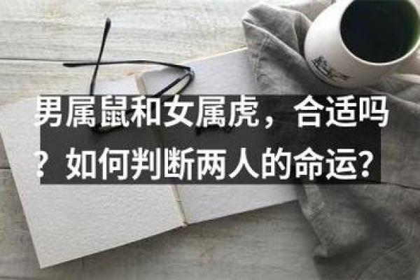 1936年属鼠人的命运与性格分析，揭示生活中隐藏的秘密与机会！