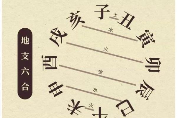 命中相克:探索火命与木命间的微妙关系与调和之道 命中相克:探索火命与木命间的微妙关系与调和之道