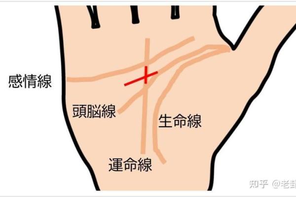 命理探索:仙命男孩女孩的神秘特征与生活影响 命理探索:仙命男孩女孩的神秘特征与生活影响
