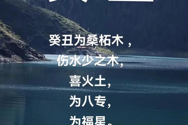 解密1999.2.4:探索命理与人生的深邃之旅 解密1999.2.4:探索命理与人生的深邃之旅