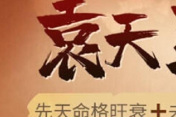 四两六钱的命运：探寻人生的哲学与智慧