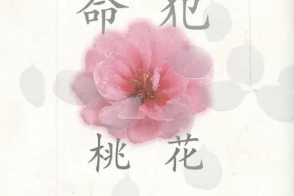 八字奇特之命:揭开命运与性格的神秘面纱 八字奇特之命:揭开命运与性格的神秘面纱
