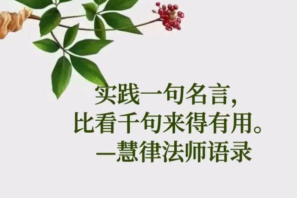 四两二命的神秘解析与人生启示