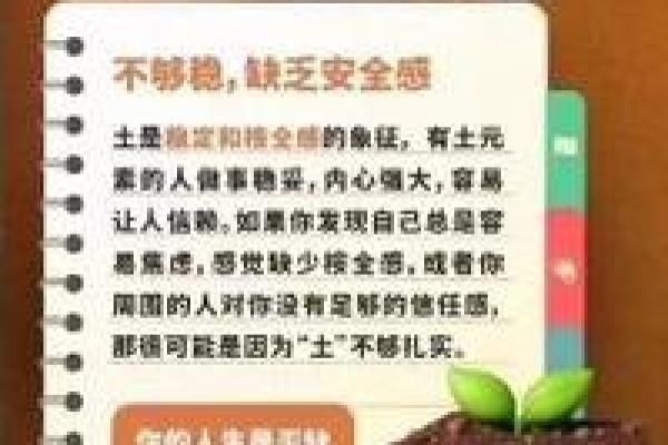19960122出生的人生运势与命理解析