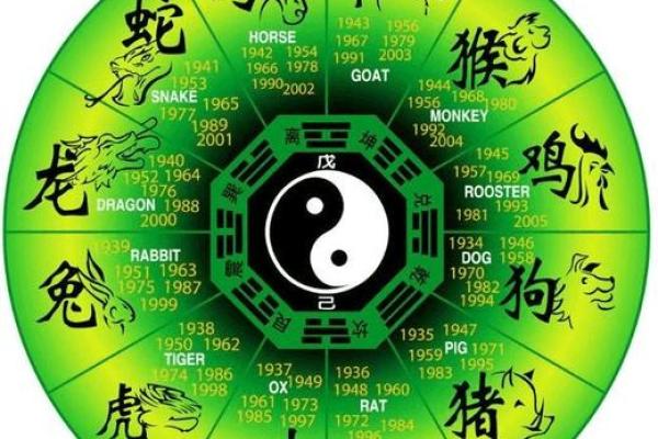 2024龙年木命的幸运与挑战：如何找到自己缺失的元素？