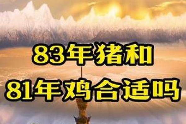 1981年出生的鸡：命运与性格的探索