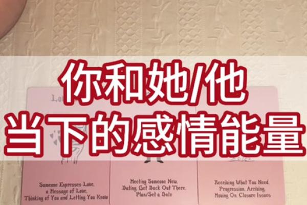 19931004出生者的命理解析:命运与人格的深度探寻 19931004出生者的命理解析:命运与人格的深度探寻