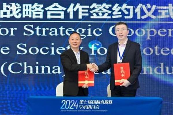 探秘金命：神秘命理中的财富与机遇之源