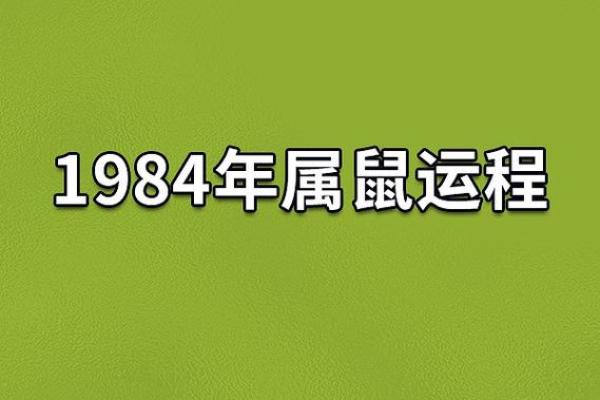2026年鼠年:探寻命运与运势的新篇章 2026年鼠年:探寻命运与运势的新篇章