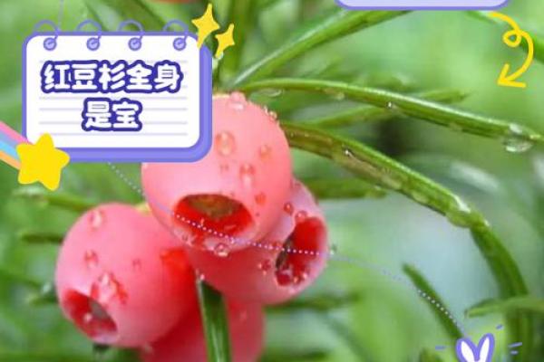 命硬与命好：探寻命运的奥秘与选择之路