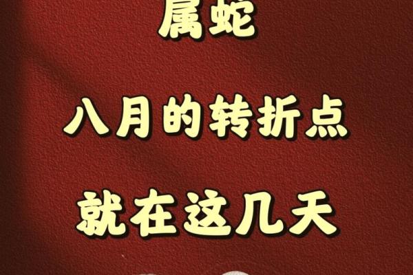 蛇命理解析：属于哪种命格对女生最有利？