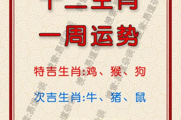 命中有三金的女性：财富与运势的秘密解析