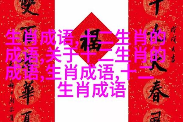 探索生活中的成语之美：从古至今的智慧结晶