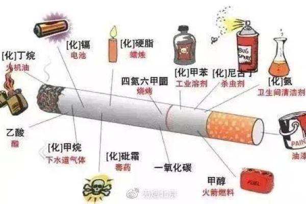 吸烟与命运：常吸烟者的生活与健康真相