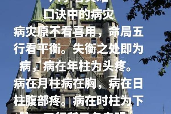 四命五命:解读生命中的命运之舵手 四命五命:解读生命中的命运之舵手