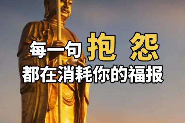 做我命运的掌舵人：以何为基，走向人生的彼岸