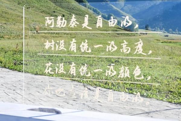 92年正月十二出生的人命运解析:走向成功与挑战的双重旅程 92年正月十二出生的人命运解析:走向成功与挑战的双重旅程