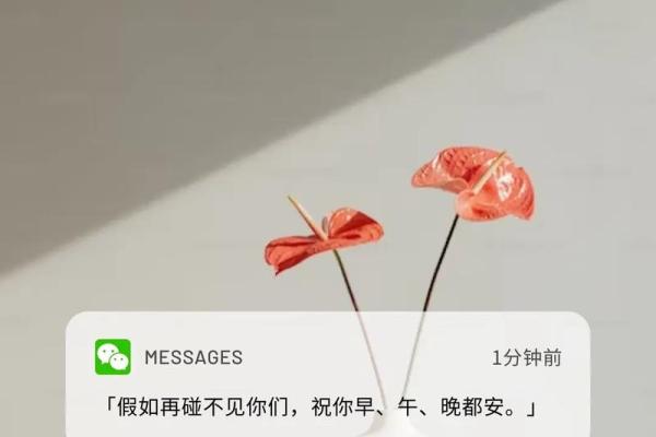 1945年出生的人命运解析：信念与坚持的虚幻旅程