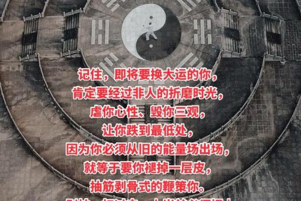 四两五命：命理中的轻盈与智慧的交融