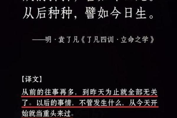 2009年:年命之谜与人生哲理的交融 2009年:年命之谜与人生哲理的交融