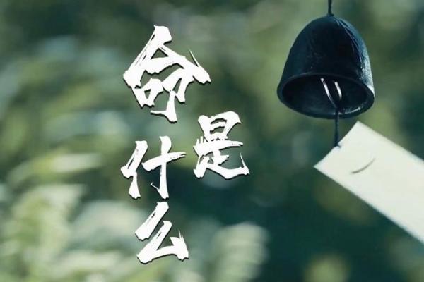 20000129出生的人生解析:命运与性格的探索之旅 20000129出生的人生解析:命运与性格的探索之旅