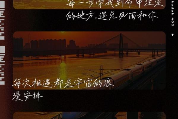 2018年属狗人的命运解析：守护与希望的双重旅程