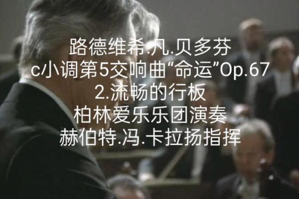 命运的交响曲：多彩人生与成语的魅力