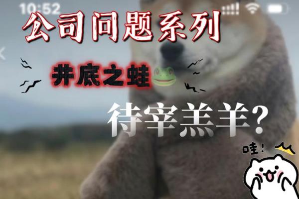青蛙眼睛的神秘命运：揭示独特的性格与运势