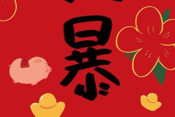 1971年出生的猪在命理中代表的意义与人生轨迹分析