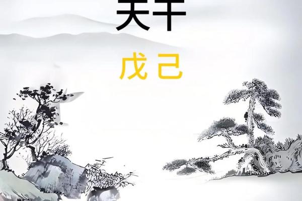 2002年木命与最佳婚配命理解析：幸福婚姻的秘诀